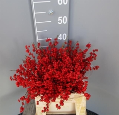 Ilex Red Berry 40cm