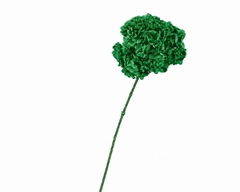 Hydrangea Green 70cm
