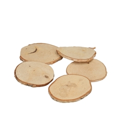 Dried Articles Wood Slice Birch D08*9cm X10