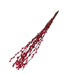 Dried Flowers Willow Catkins 70cm