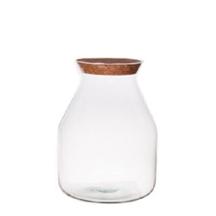 Glass Terrarium Eco Cas D12.5/19*25cm