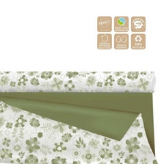 Cellophane Roll 80cm 25m Rica Clayrton