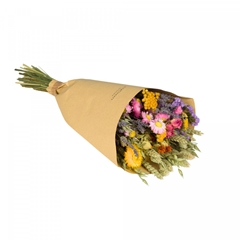 Dried Flowers Bouquet Field 50cm