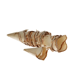 Dried Articles Birch Roll Large X8