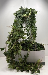 Hedera Helix Mein Herz 24Ø 130cm