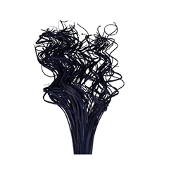 Dried Articles Curly TingTing 70cm 200g