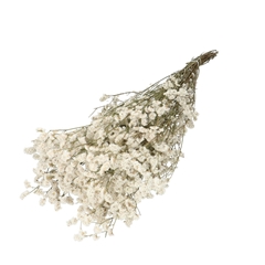 Dried Flowers Limonium Diamond 70cm