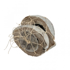 Dried Articles Coco Half 20cm X2