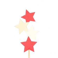 Christmas Sticks 10cm Star X4 6*10cm