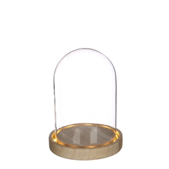 Glass Cloche Led D12*16.5cm Batt.incl.