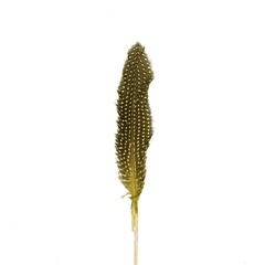 Sticks 12cm Chicken Feather 20cm