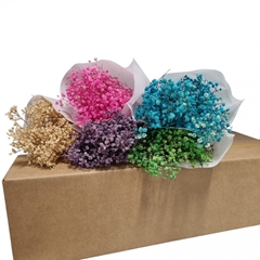 Dried Flowers Diy Box Assorti 65cm