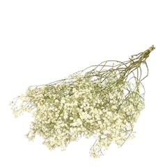 Dried Flowers Gyps 70cm 50g