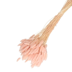 Dried Flowers Lagurus 65cm 100g