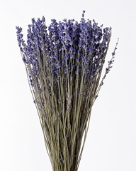 Lavandula Dark Blue Per Bunch 45cm 100gr.
