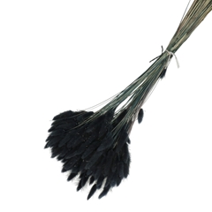 Dried Flowers Lagurus 65cm 100g