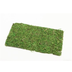 Dried Articles Moss Sheet 30*18cm