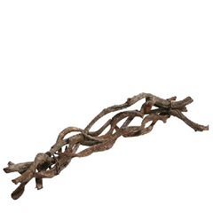 Dried Articles Curly Bunch 60cm X5