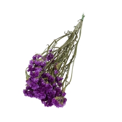 Dried Flowers Limonium Statice 70cm