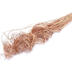 Dried Articles Curly TingTing 70cm 200g