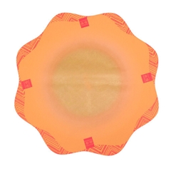 Cellophane Sheet Reunion D73cm
