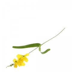 Artificial Flowers Freesia 50cm