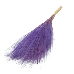 Dried Flowers Goat Grass 65-70cm