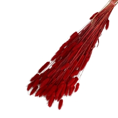 Dried Flowers Lagurus 65cm 100g