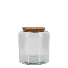 Glass Terrarium Eco Mari D13/19*20cm