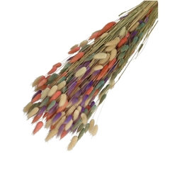 Dried Flowers Lagurus Mix 65cm 100g