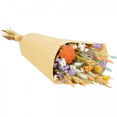 Dried Flowers Bouquet Field 60cm