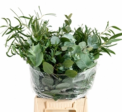 Eucalyptus Mix Per Bunch 50cm 150gr.