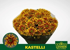 Chrysanth Spray Kastelli 70cm 90gr.