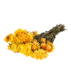 Dried Flowers Helichrysum 45cm 100g