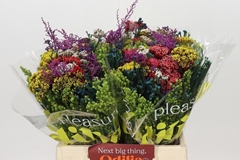 Brunia Cape Mix Green Mandarin Bouquet 40cm