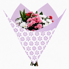 Cellophane Sheet 80*90cm Clear X50