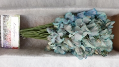 Lathyrus Painted Blue Magic 40cm
