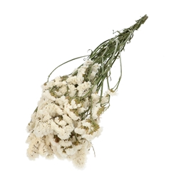 Dried Flowers Limonium Statice 70cm