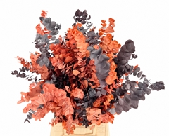 Eucalyptus Stuartiana Painted Halloween Per Bunch 70cm 150gr.