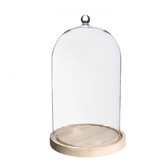 Glass Cloche Kknob Wood D15/17*28cm