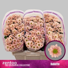 Chrysanth Santini Babette 55cm 44gr.