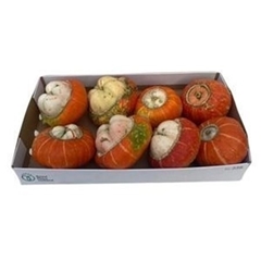 Cucurbita Maxima Turks Turban Mix