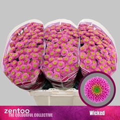 Chrysanth Santini Wicked 55cm 48gr.