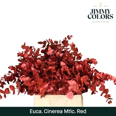 Eucalyptus Cinerea Painted Met Red Per Bunch 70cm 200gr.