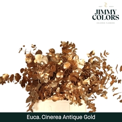 Eucalyptus Cinerea Painted Antique Gold Per Bunch 70cm 200gr.