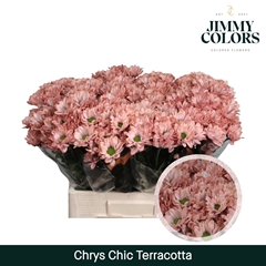 Chrysanth Spray Chic 70cm 90gr.