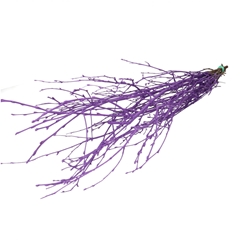 Dried Articles Birch Branch 70cm