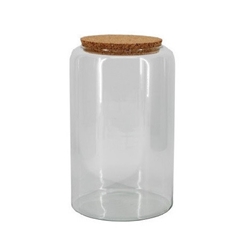 Glass Terrarium Eco Mari D14/19*30cm