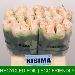 Rosa High & Bridal 40cm