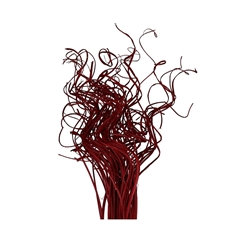 Dried Articles Curly TingTing 70cm 200g